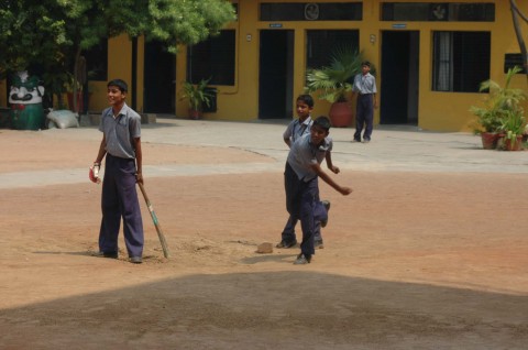 Playing Cricket